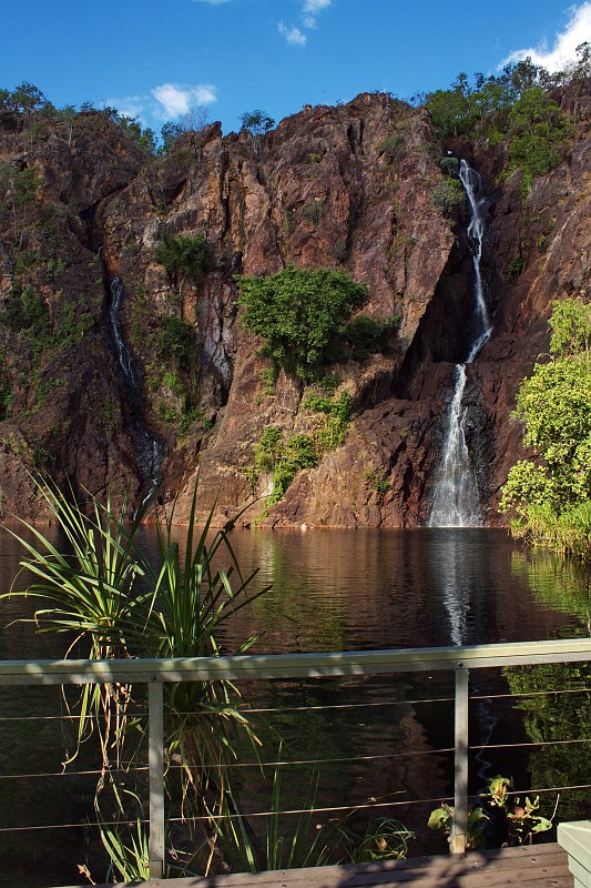 2009-11-06 22-00-41.jpg - Hier wär ich auch gern Krokodil...